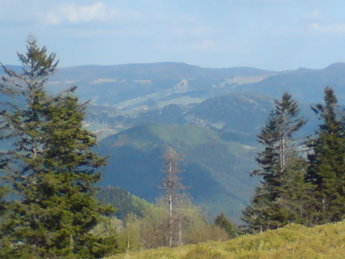 Willa Pod Kasztanami Piwniczna-Zdroj Exteriör bild